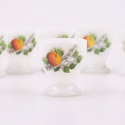 Coquetier Arcopal Fruits de France multicolore