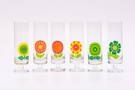 6 flûtes flower power multicolores