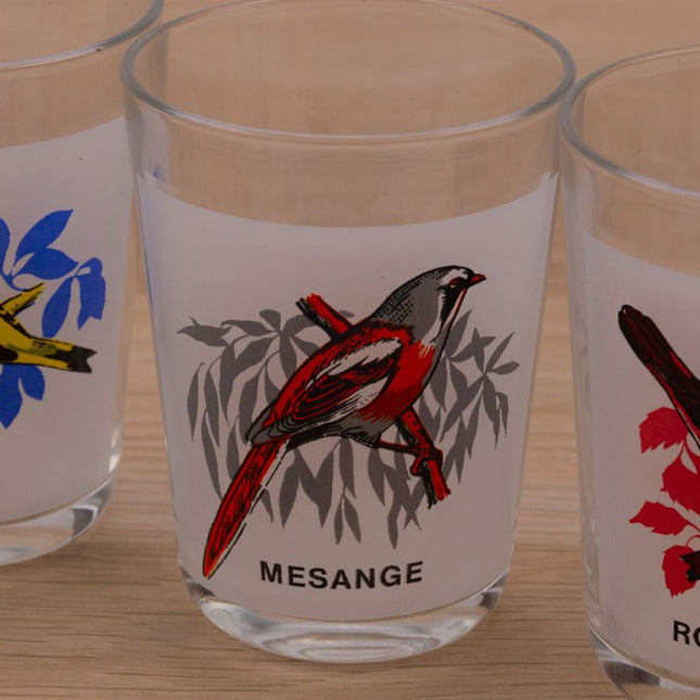 5 verres à eau Oiseaux de nos jardins
