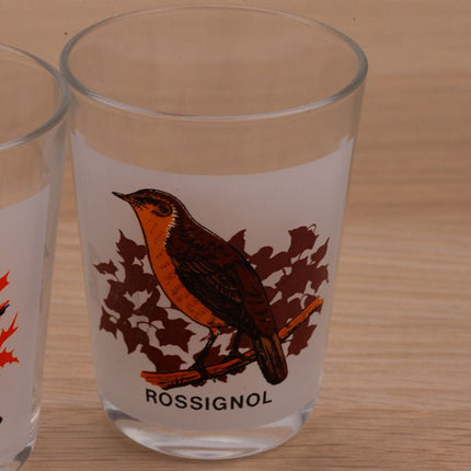 5 water glasses Birds of our gardens