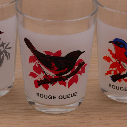 5 water glasses Birds of our gardens