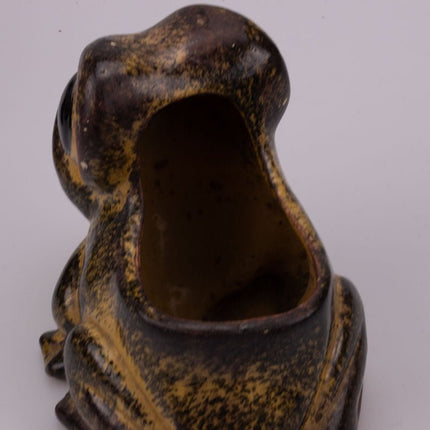 Ceramic frog pot