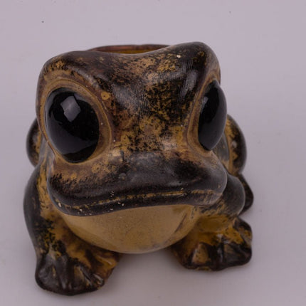 Ceramic frog pot