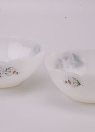 Arcopal Fruits of France Salad Bowl