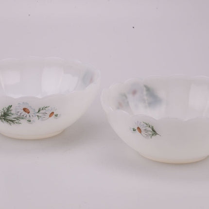 Arcopal Fruits of France Salad Bowl