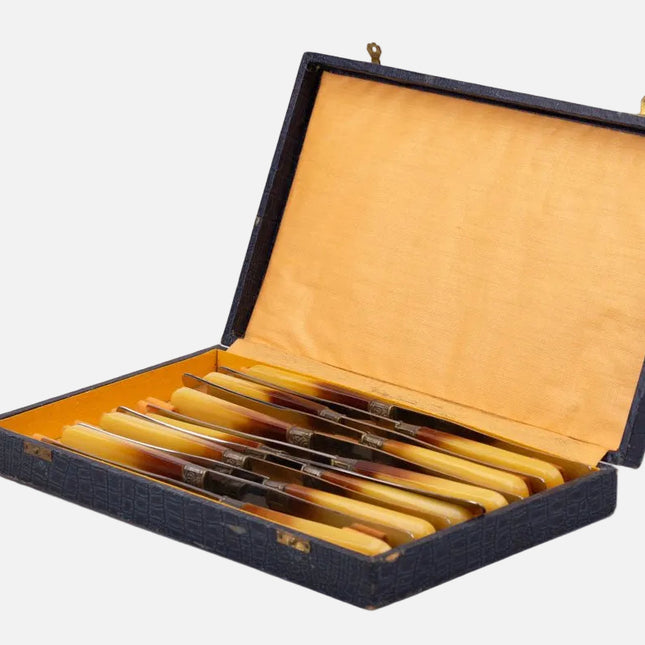 Coffret de 12 couteaux de table en inox GHB