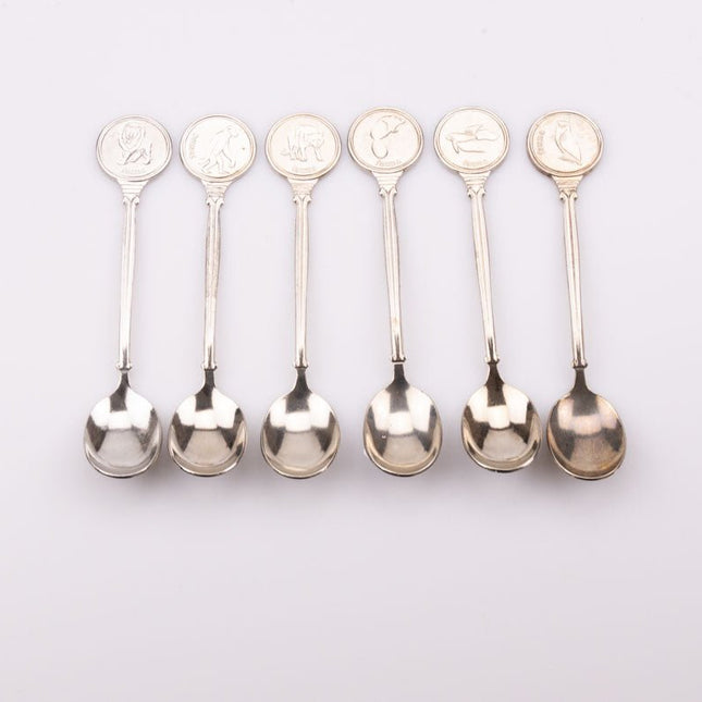 Kit de 6 cuillères à dessert en inox