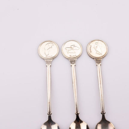 Kit de 6 cuillères à dessert en inox argenté