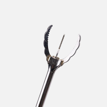 Pince à sucre en inox argenté