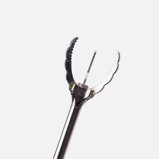 Pince à sucre en inox argenté
