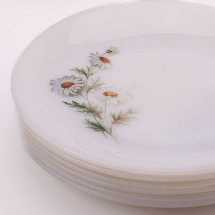 6 grandes assiettes plates Arcopal Marguerite blanche avec motifs fleuris