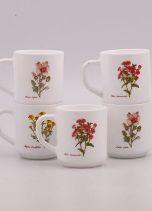 5 white Arcopal Wildflower mugs