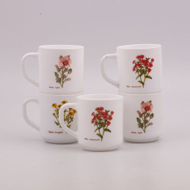 5 white Arcopal Wildflower mugs