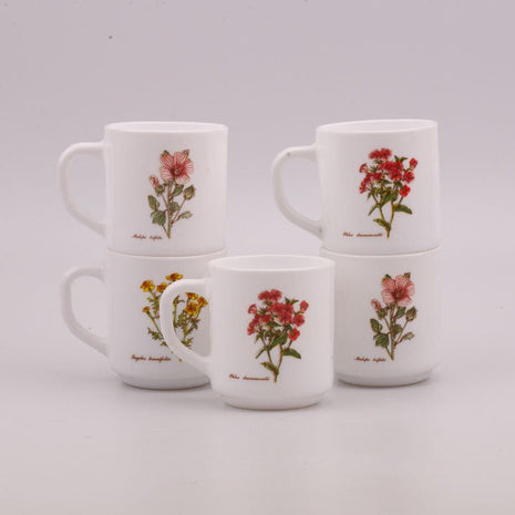 5 white Arcopal Wildflower mugs