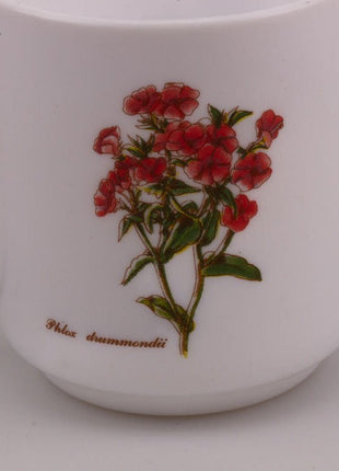 5 white Arcopal Wildflower mugs
