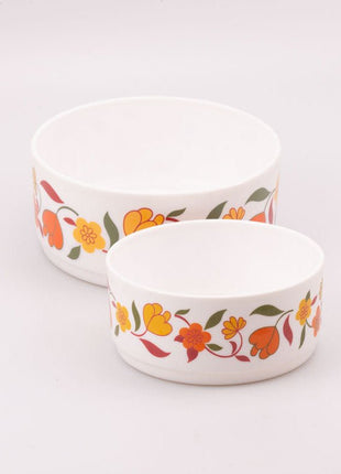 Set de 2 plats saladiers Arcopal Tulipe