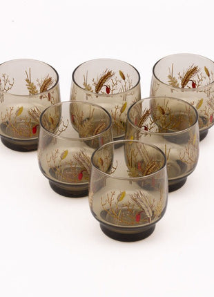 7 verres fumés transparents Luminarc avec des motifs d'épis