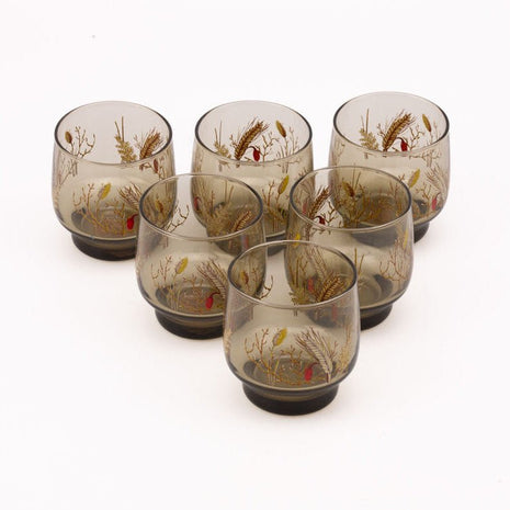 7 verres fumés transparents Luminarc avec des motifs d'épis