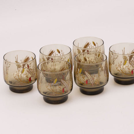 7 verres fumés transparents Luminarc avec des motifs d'épis