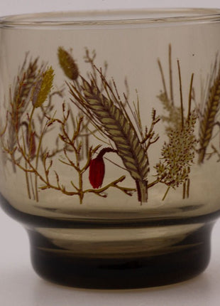 7 verres fumés transparents Luminarc avec des motifs d'épis