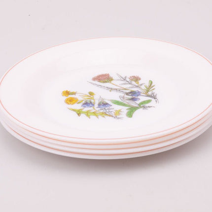 4 Arcopal dessertbordjes met wilde bloemen