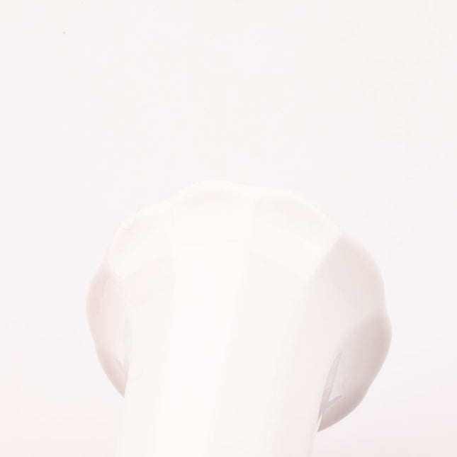 Vase en porcelaine blanche Gerold porzellan style minimaliste