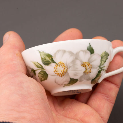 Set de 8 petites tasses et soucoupes blanches en porcelaine de Paris Eglantine