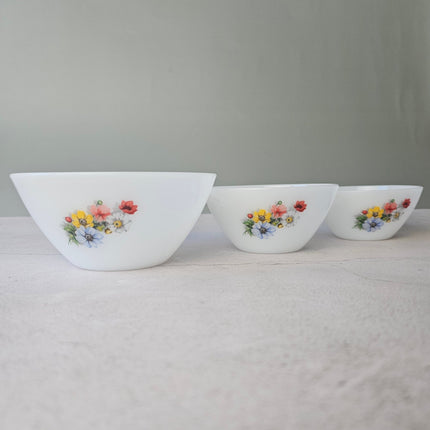 Lot de 3 bols Arcopal en opaline collection Anémone années 70