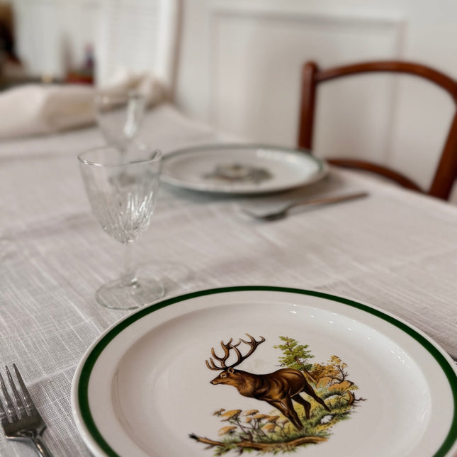 6 assiettes plates en porcelaine Seltmann Weiden
