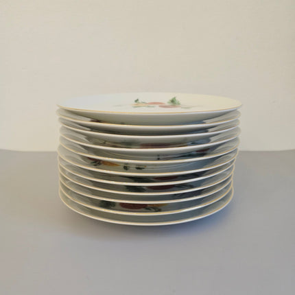 12 assiettes plates en porcelaine Wunsiedel blanches avec des motifs de dahlias