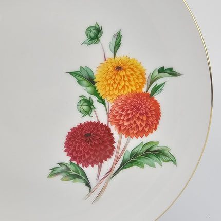 12 assiettes plates en porcelaine Wunsiedel blanches avec des motifs de dahlias