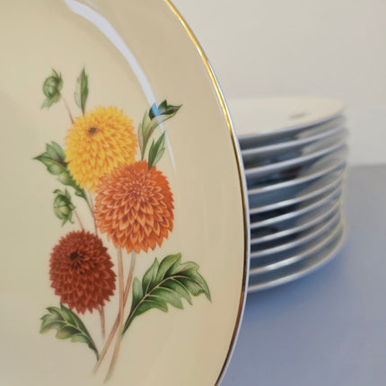 12 assiettes plates en porcelaine Wunsiedel blanches avec des motifs de dahlias